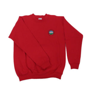 Abbey Primary Children Red Jumper [E]