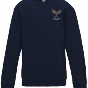 [NTH-0208] Coedffranc Children Navy Jumper [E]