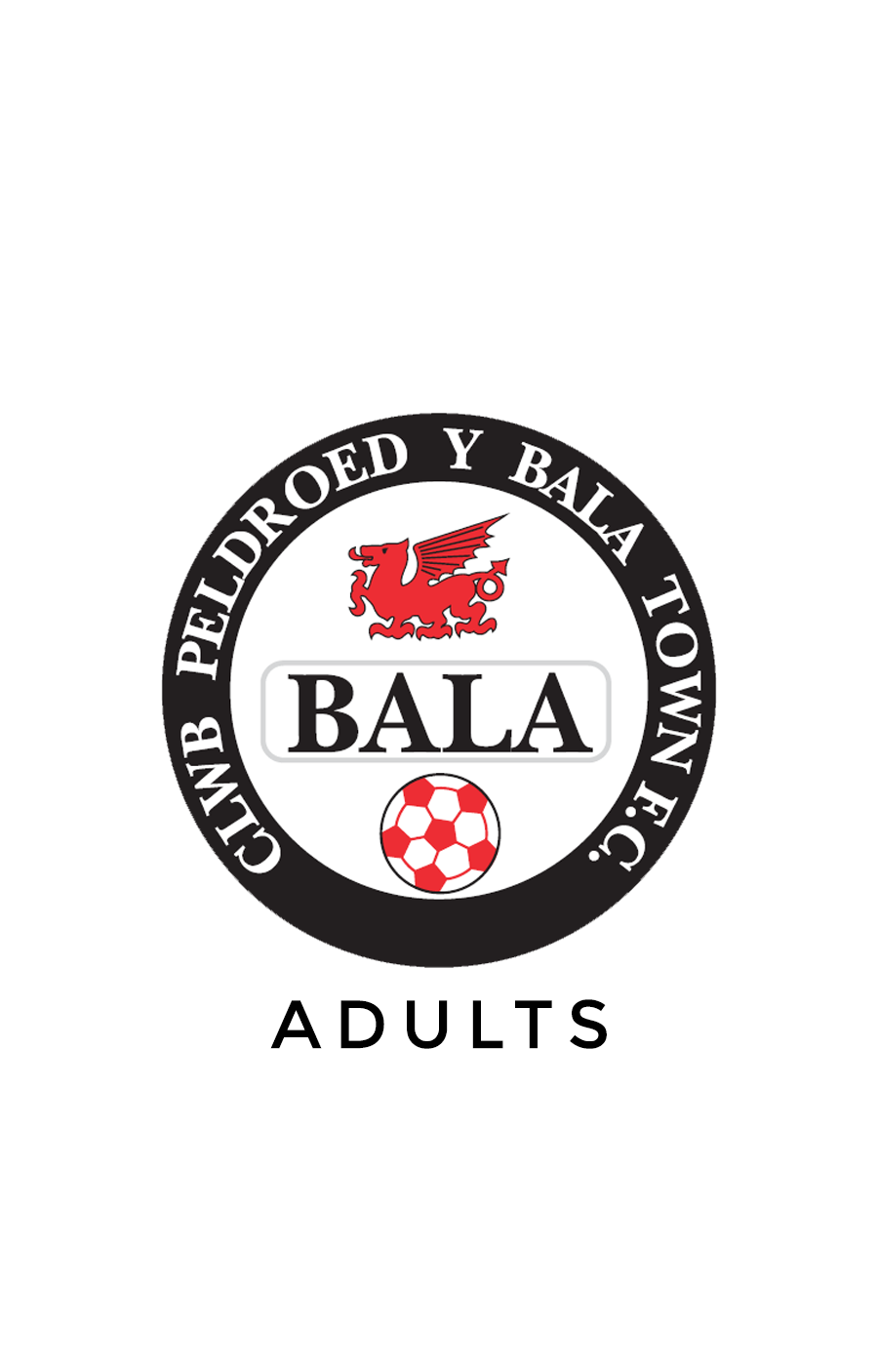 Macron Sports Hub Neath