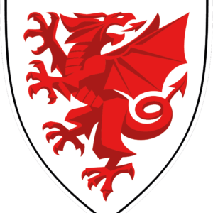 FAW Referees Accessories