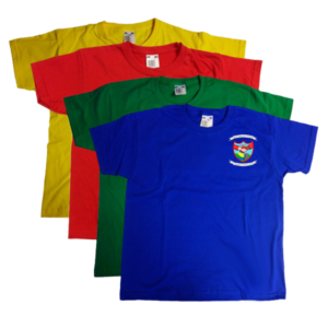 [NTH-1077] Cwmafan Primary Children T-Shirt [E]