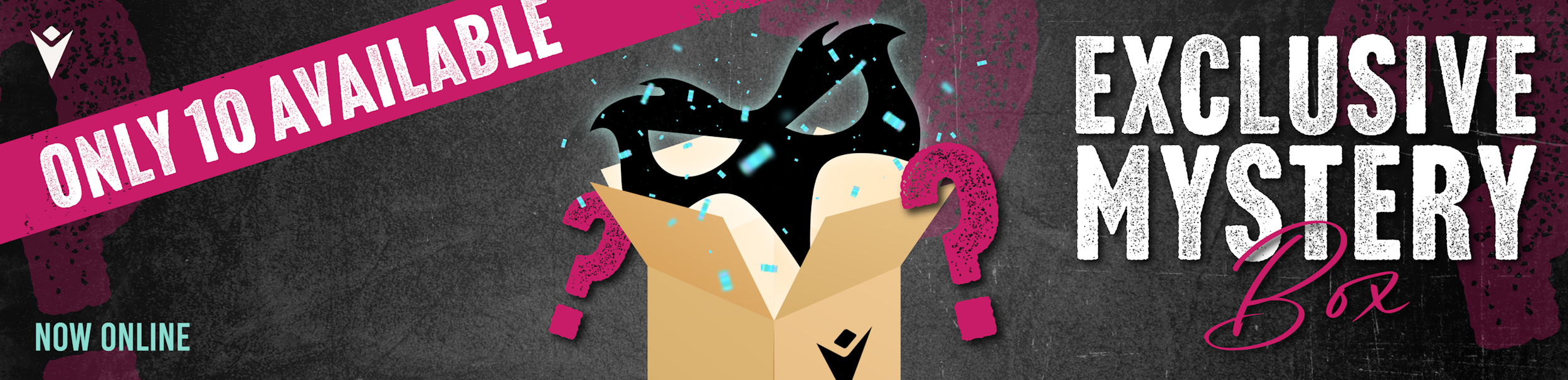 Macron Sports Hub Neath