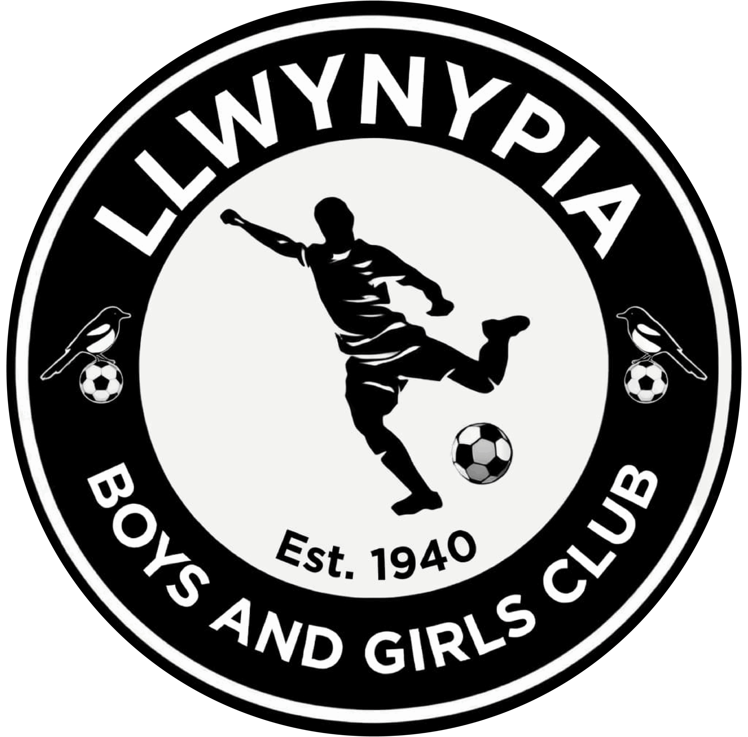 Macron Sports Hub Swansea