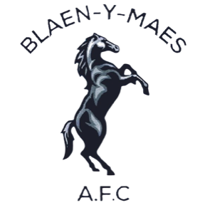 Macron Sports Hub Swansea